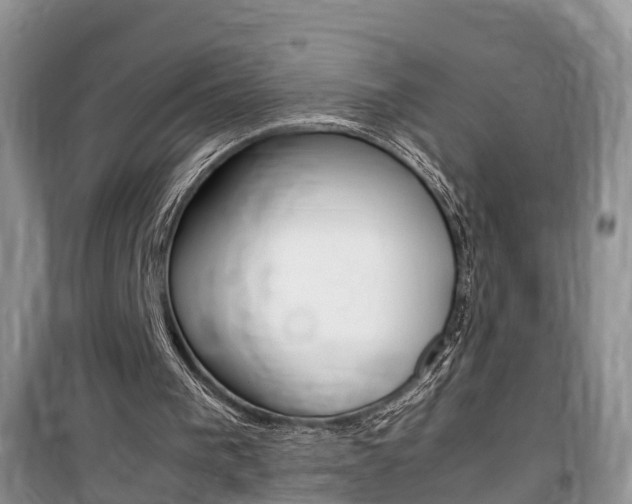 X0000100190193200805300732