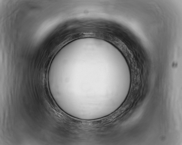 X0000100190194200805300732