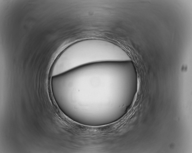 X0000100190195200805300732