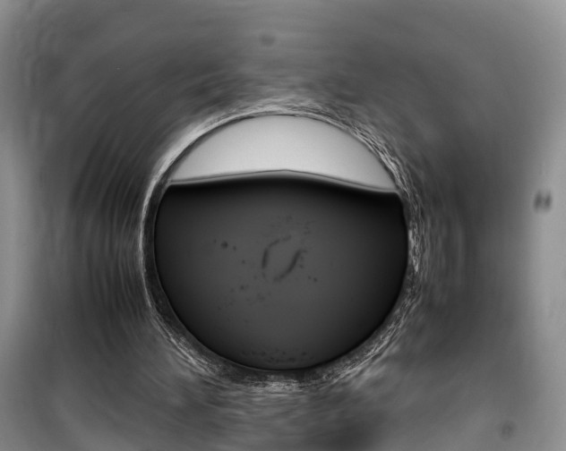 X0000100190196200805300732