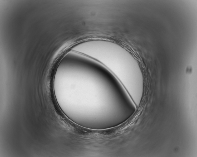 X0000100190197200805300732