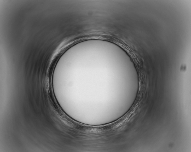 X0000100190198200805300732