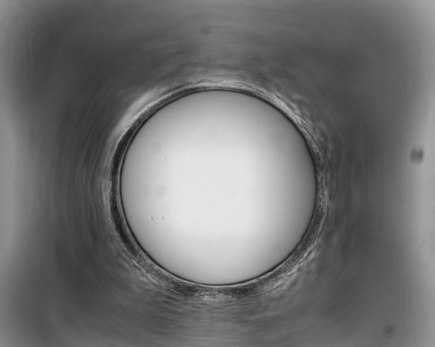 X0000100190199200805300732