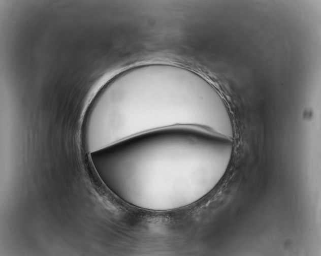 X0000100190200200805300732