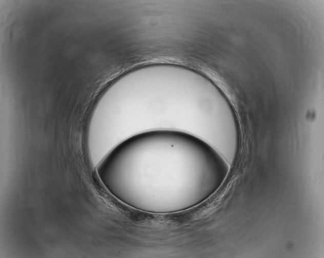 X0000100190201200805300732