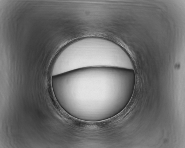 X0000100190203200805300732