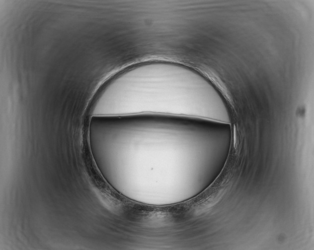 X0000100190204200805300732