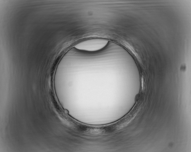 X0000100190205200805300732