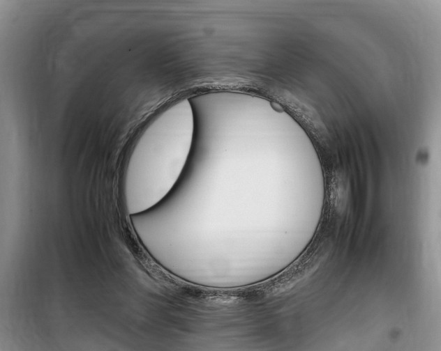 X0000100190206200805300732