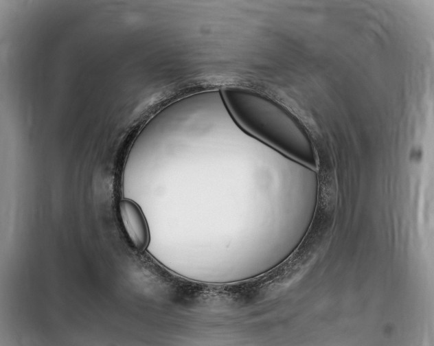 X0000100190207200805300732