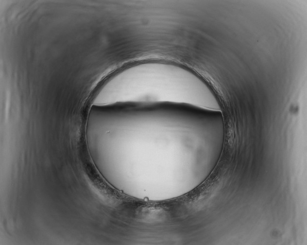 X0000100190208200805300732