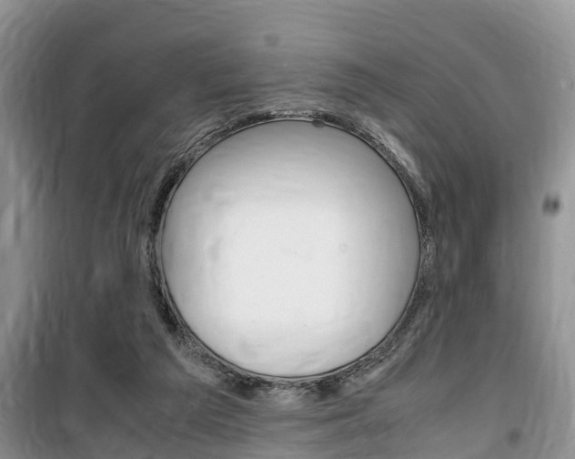 X0000100190209200805300732