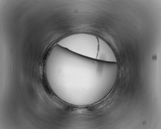 X0000100190210200805300732