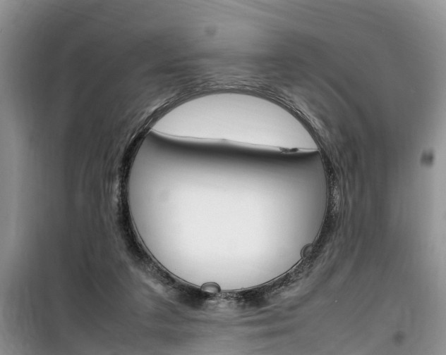 X0000100190211200805300732
