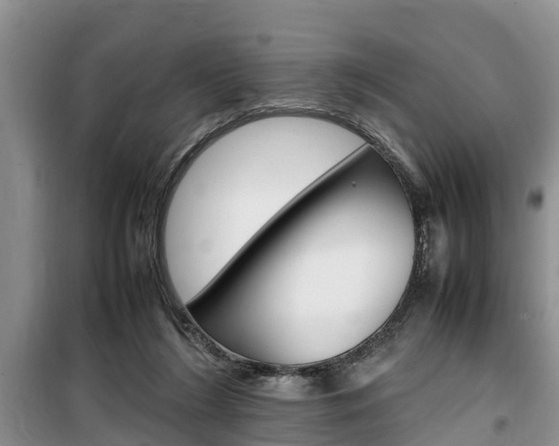 X0000100190212200805300732