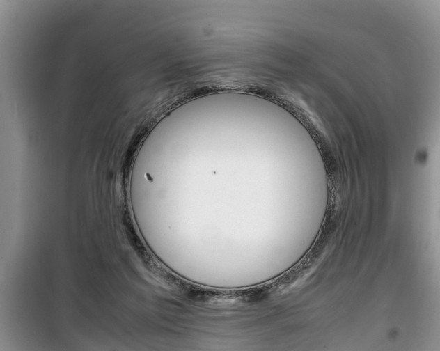 X0000100190213200805300732