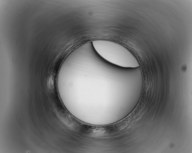 X0000100190214200805300732