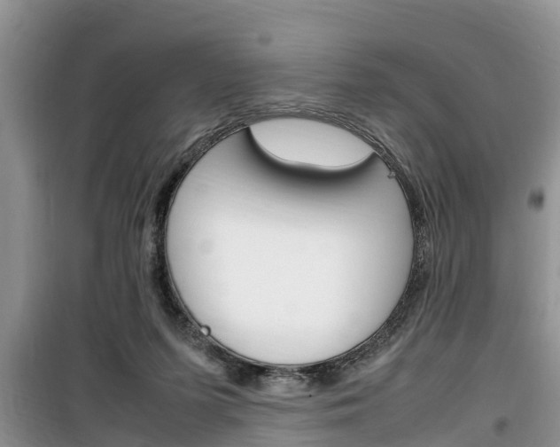 X0000100190215200805300732
