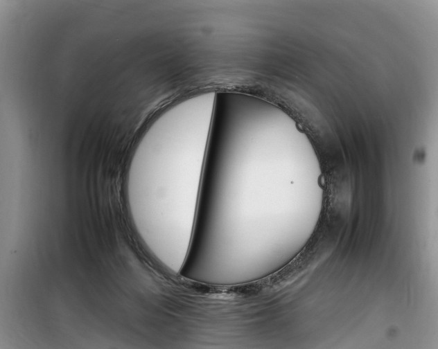 X0000100190216200805300732