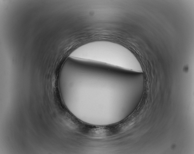 X0000100190219200805300732