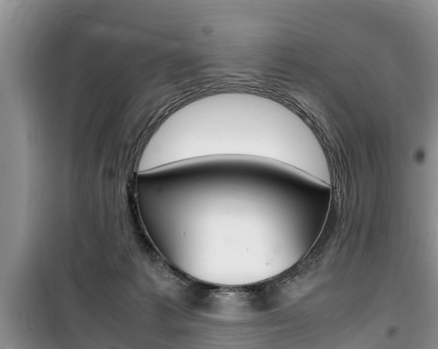 X0000100190221200805300732