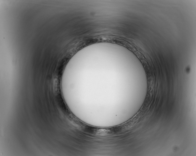 X0000100190222200805300732
