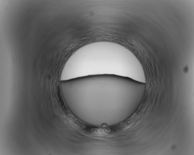 X0000100190223200805300732