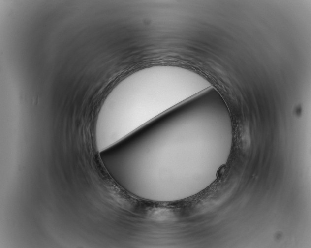 X0000100190224200805300732
