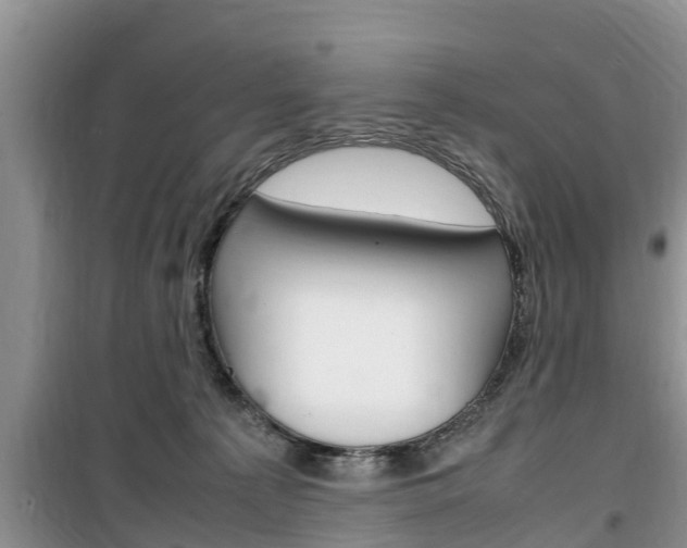 X0000100190225200805300732