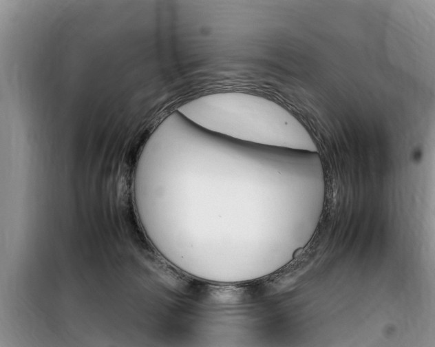 X0000100190226200805300732