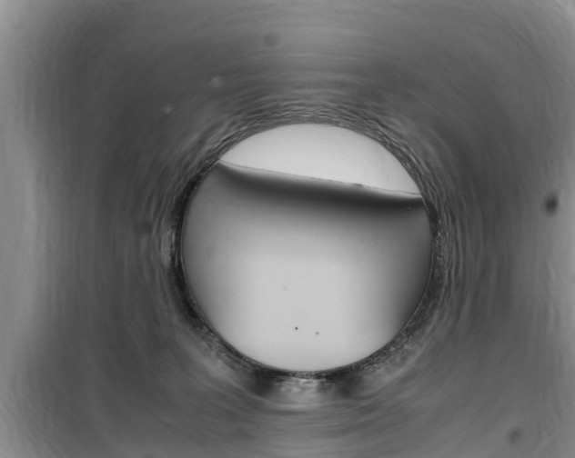 X0000100190227200805300732