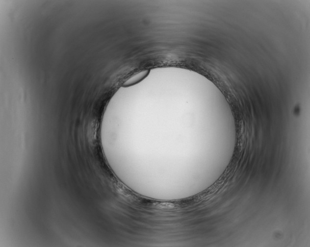 X0000100190230200805300732