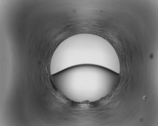 X0000100190233200805300732