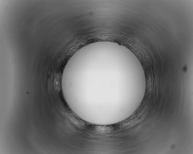 X0000100190234200805300732