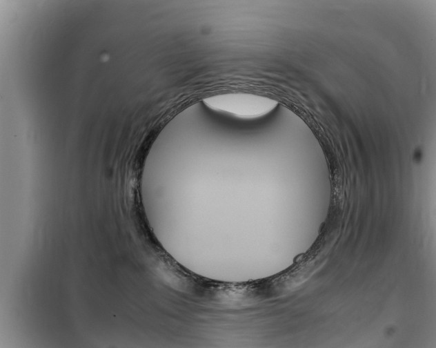 X0000100190235200805300731
