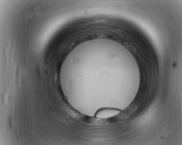 X0000100190239200805300731