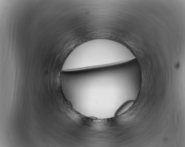 X0000100190240200805300731