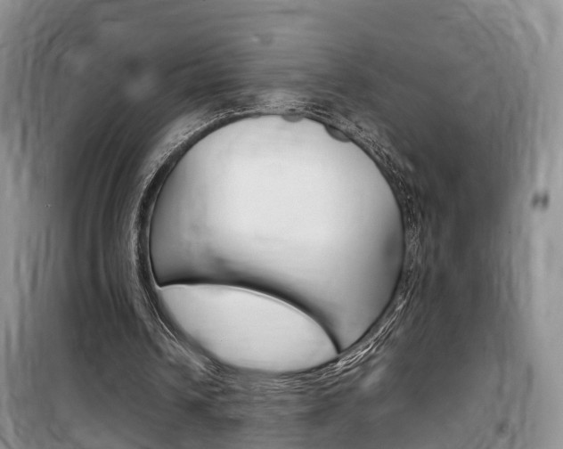 X0000100190242200805300731