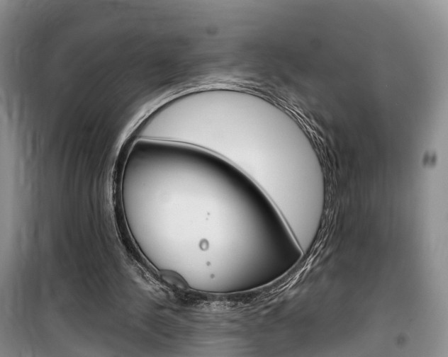 X0000100190244200805300731