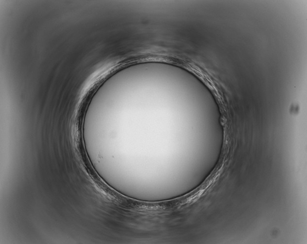 X0000100190245200805300731