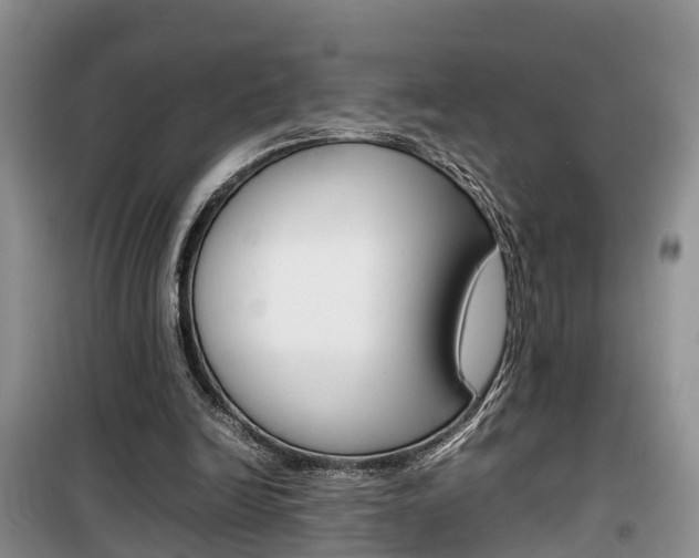 X0000100190246200805300731