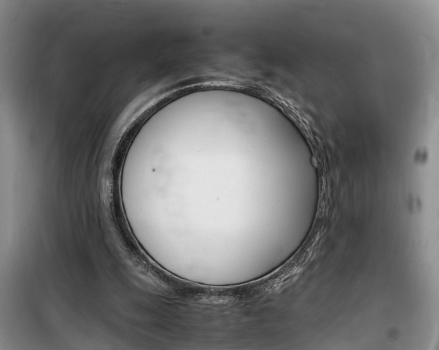 X0000100190247200805300731