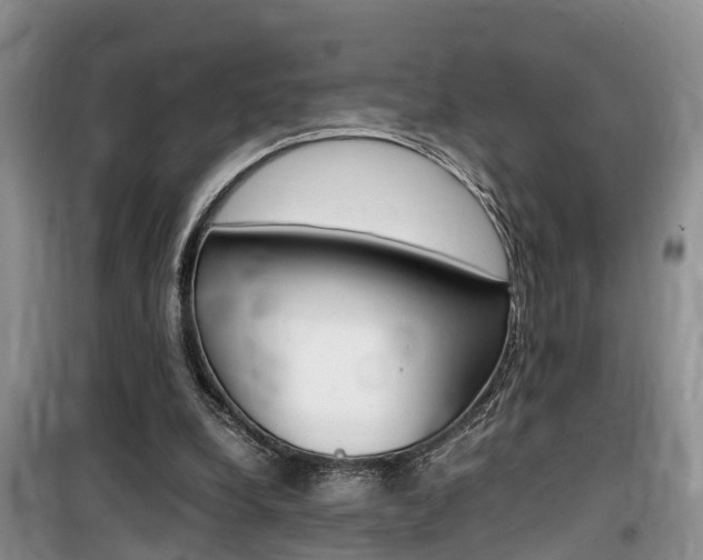 X0000100190248200805300731