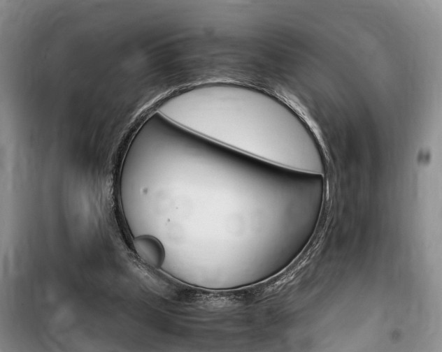 X0000100190249200805300731