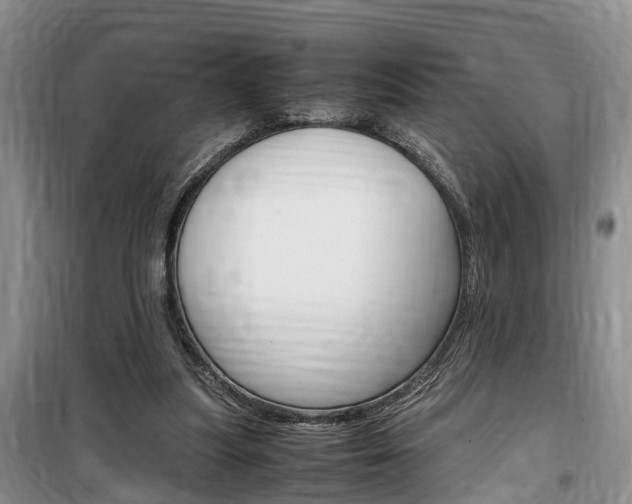 X0000100190251200805300731