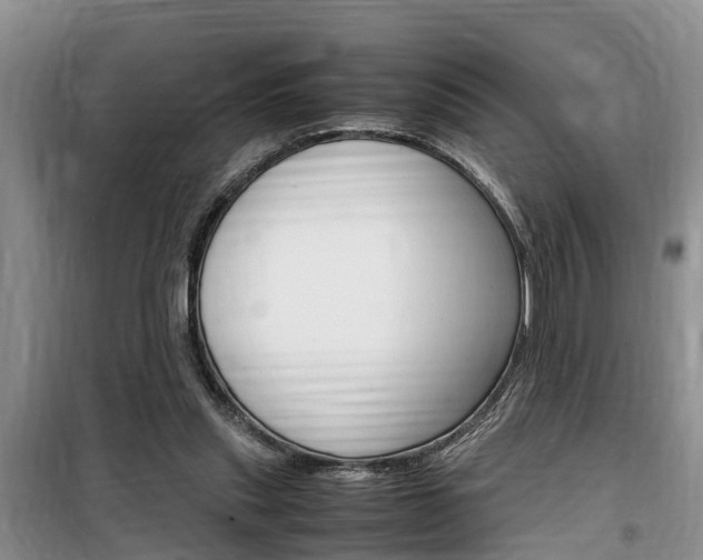 X0000100190253200805300731