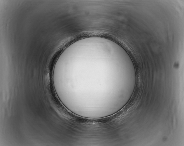 X0000100190254200805300731