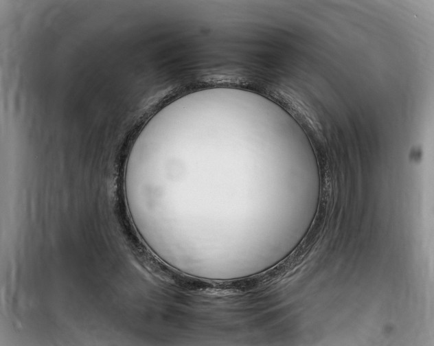 X0000100190255200805300731