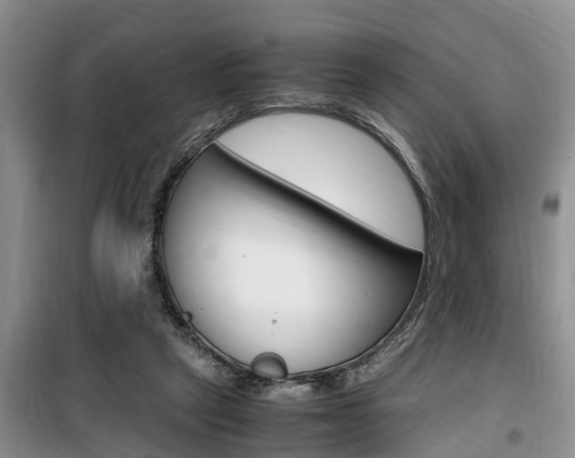 X0000100190257200805300731