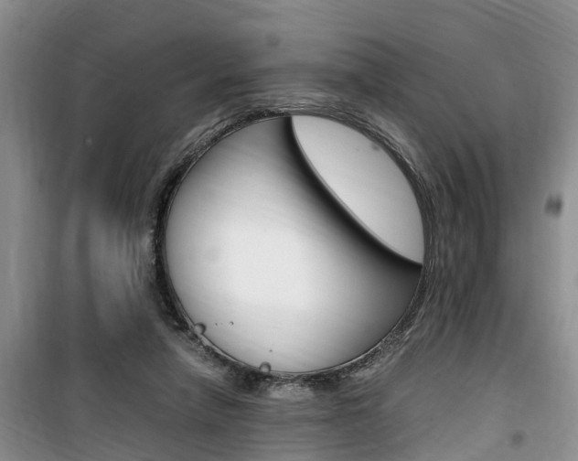 X0000100190258200805300731
